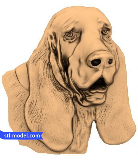 Gentle Hound Portrait