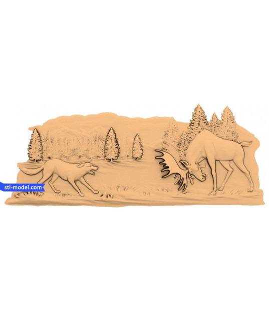 Wilderness Showdown