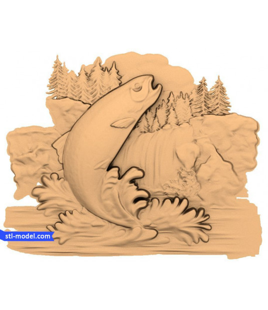 Salmon Leap