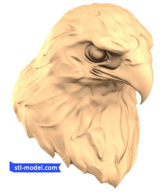 Eagle Majesty