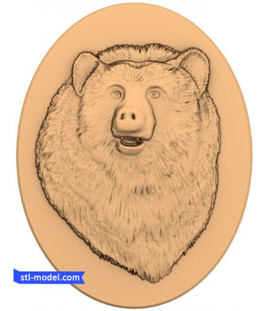 Majestic Grizzly