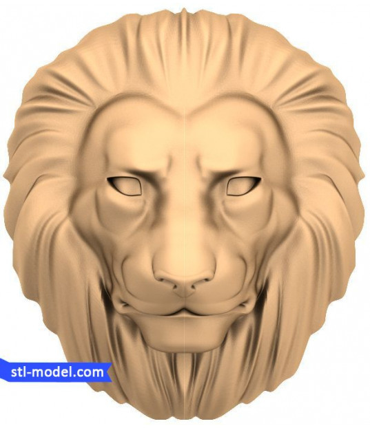 Majestic Lion Head