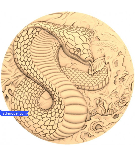 Serpentine Harmony
