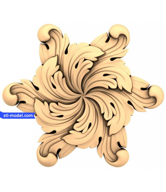 Whirling Acanthus Bloom