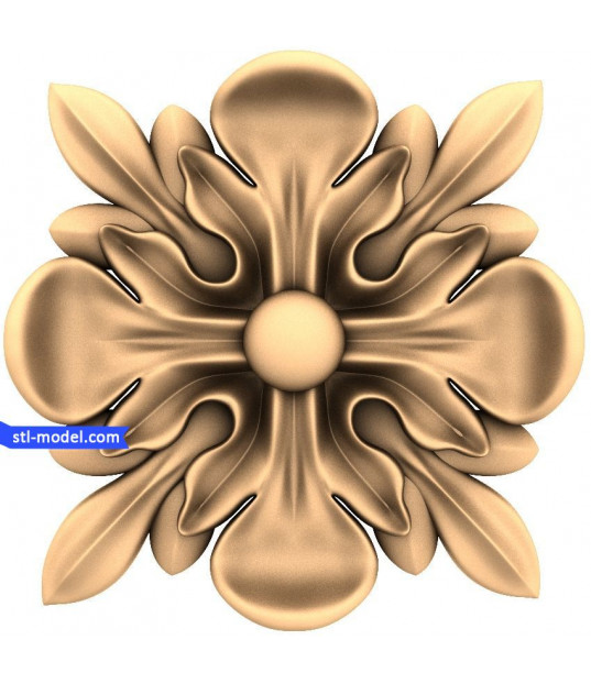 Elegant Floral Blossom