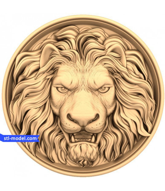 Lion's Fierce Gaze
