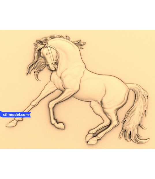 Majestic Rearing Stallion