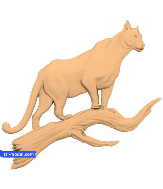 Majestic Panther on Branch