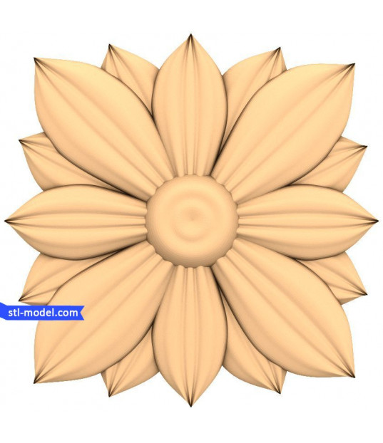 Petal Harmony