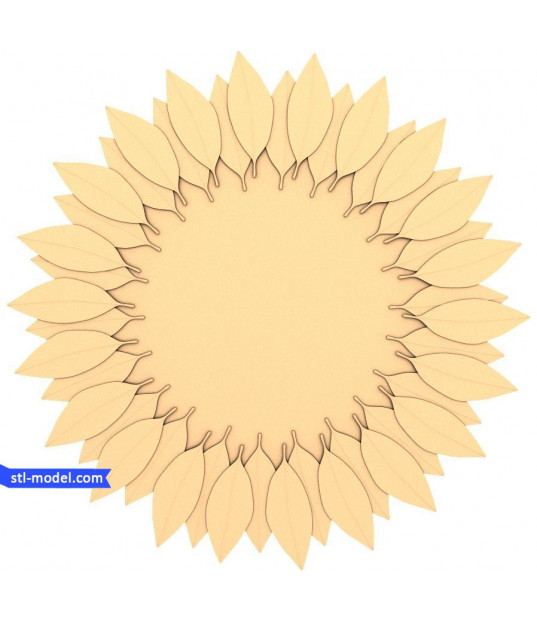Sunflower Symmetry