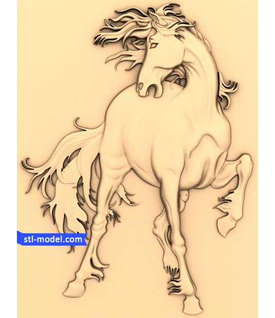 Majestic Stallion