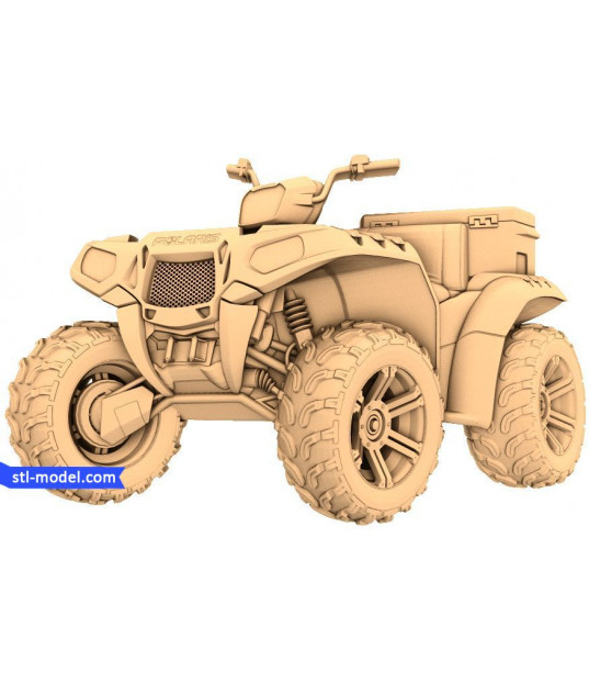 Quad Explorer