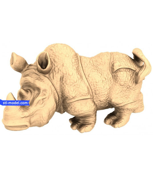 Majestic Rhino