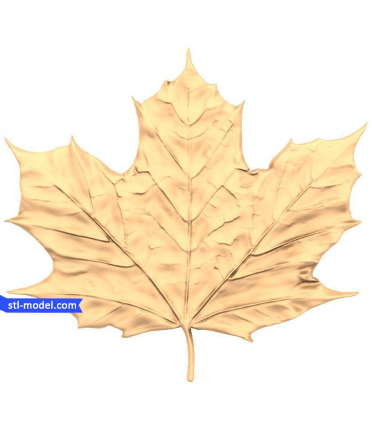 Golden Maple Leaf