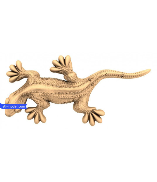 Textured Gecko Delight