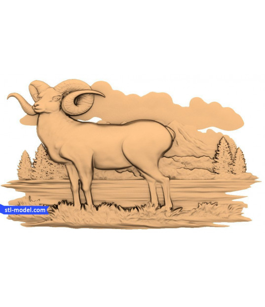 Majestic Mountain Ram