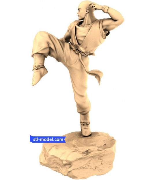 Kung Fu Master