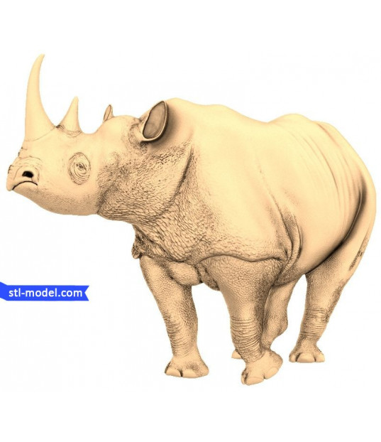 Majestic Rhino