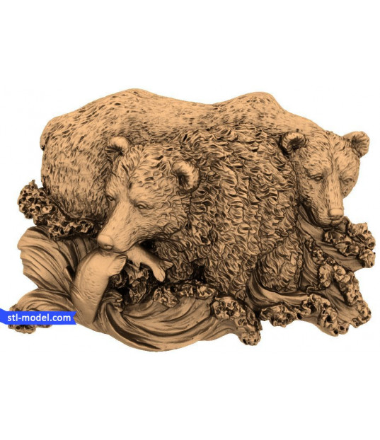 Bear Duo Harmony