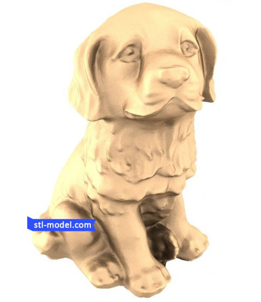 Loyal Companion