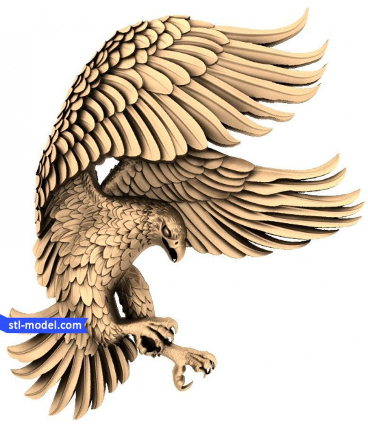 Majestic Eagle Landing