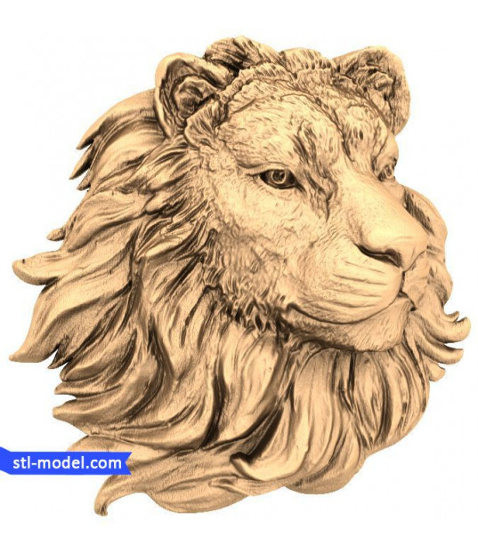 Regal Lion Head