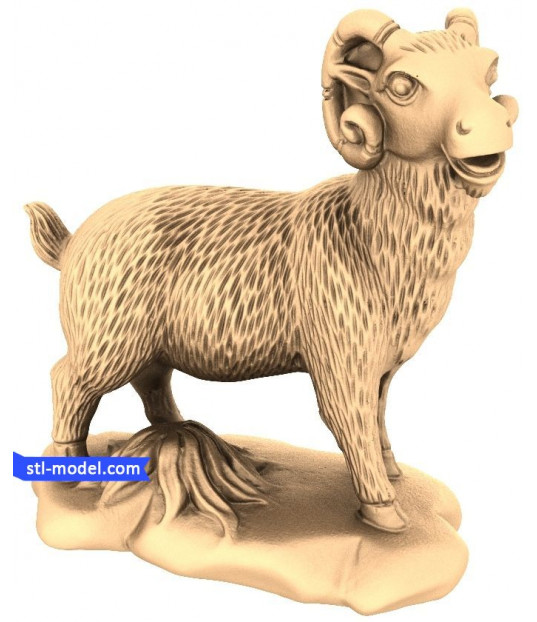 Majestic Ram