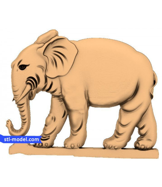 Majestic Elephant