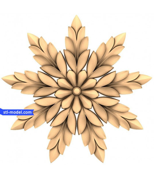 Floral Starburst