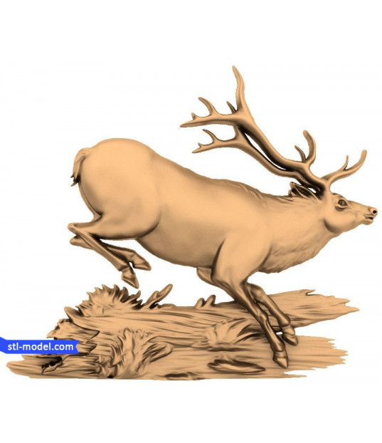 Majestic Stag