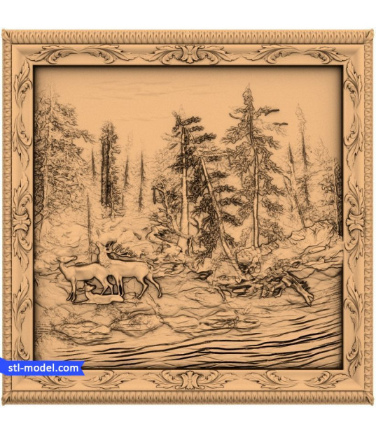 Forest Serenity