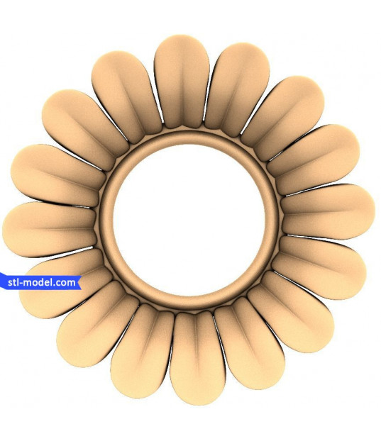 Sunflower Bloom