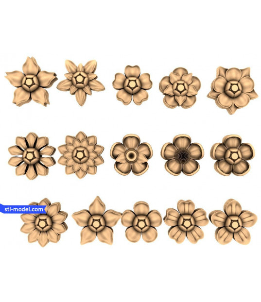 Blossom Elegance Collection
