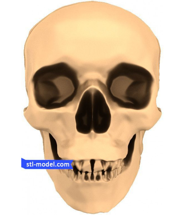 Bas-relief "Skull" | STL - 3D model for CNC