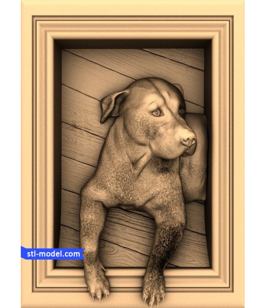 Loyal Companion