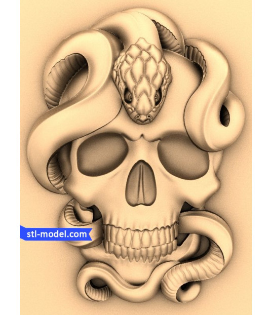Serpent Skull
