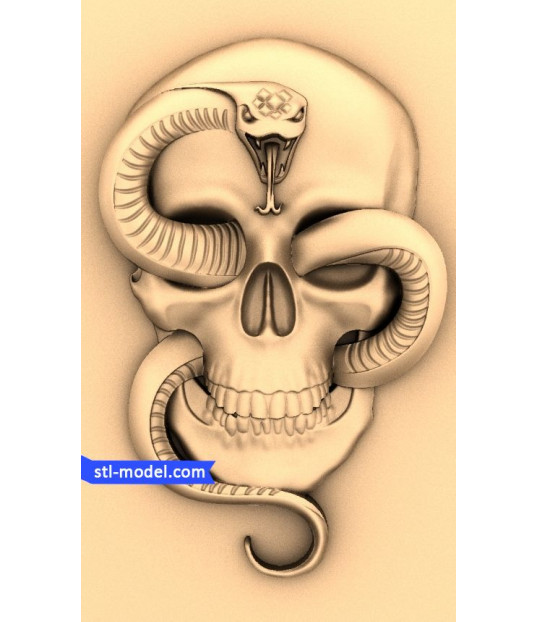 Serpent Skull