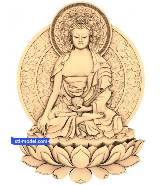 Tranquil Enlightenment