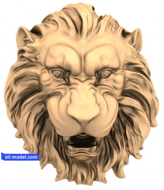 Majestic Lion Head