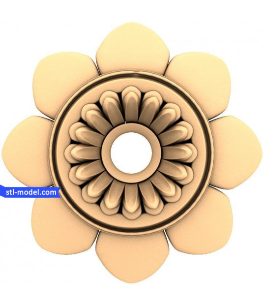 Petal Harmony