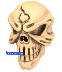 Volumetric skull