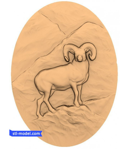 Mountain Ram Relief