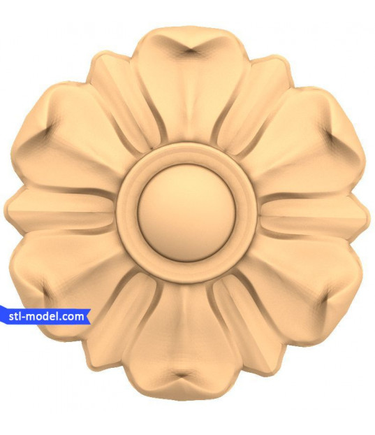 Petals of Elegance