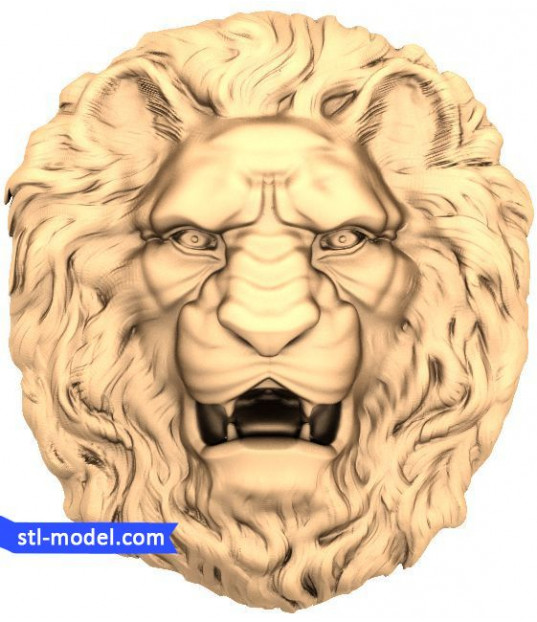 Regal Lion Head