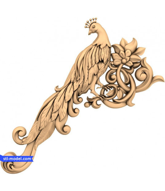 Regal Peacock Flourish
