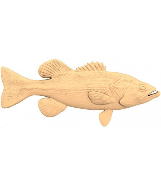 Majestic Bass