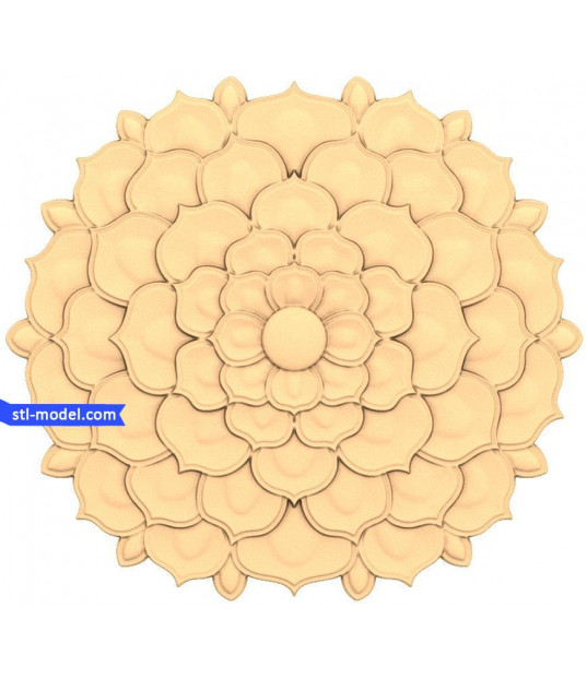 Petal Harmony
