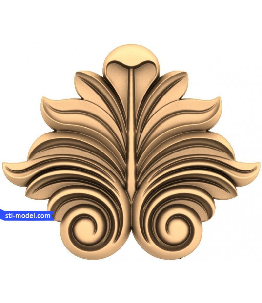 Majestic Acanthus Flourish