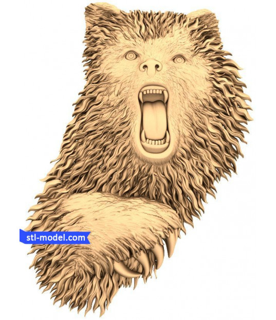Roaring Bear