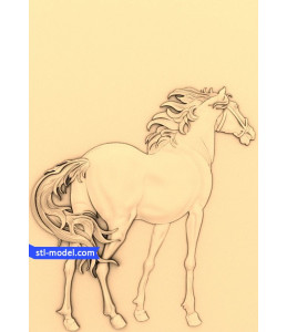 Horse (11)